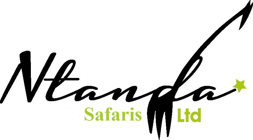 Ntanda Ventures Ltd logo